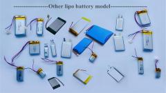Polymer Lithium Batteries 250mAh Rechargeable Li-ion for Toys OEM