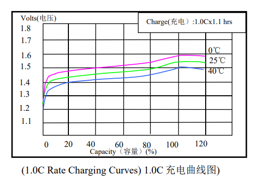 D NiMH Battery