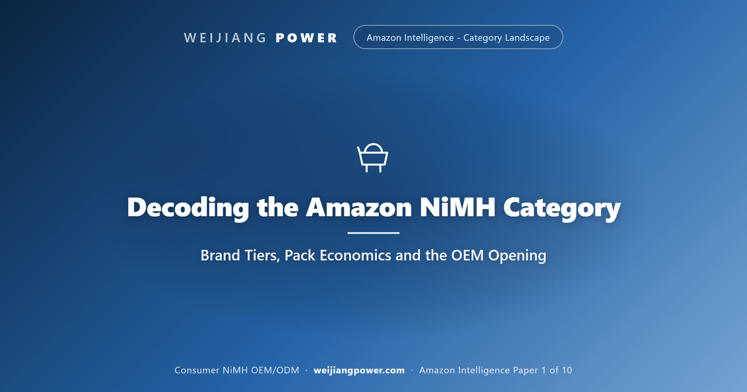 Academic market-intelligence cover mapping brand tiers and pack economics in the Amazon NiMH category