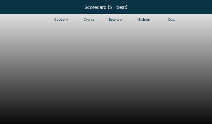 Animated scorecard of standard, pro, lite and generic high-capacity NiMH grades across five attributes