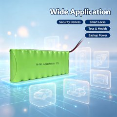 12V AA 1600mAh Ni-MH Rechargeable Battery Pack | Weijiang Power OEM Battery Factory