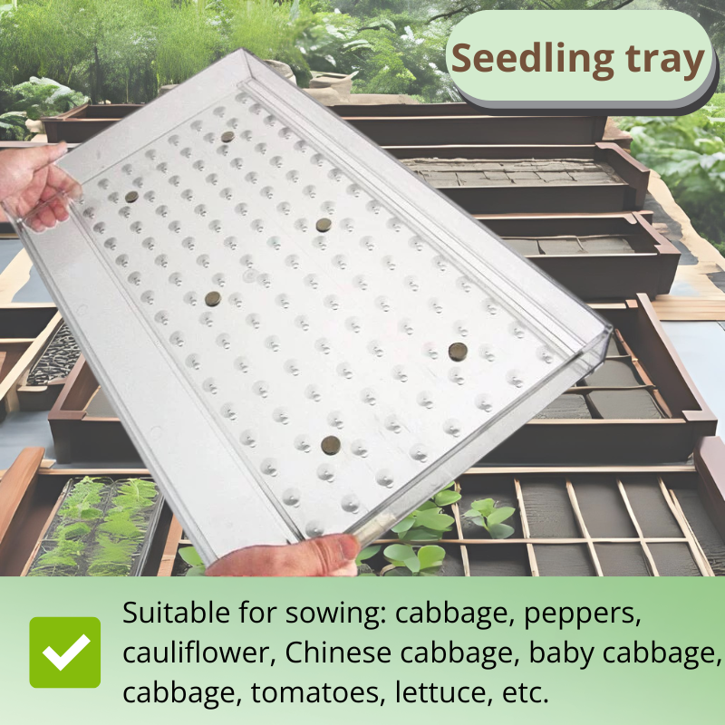 Universal Seed Seeder Tool – Multi-Hole Sowing Plate for Tiny Vegetable and Herb Seeds