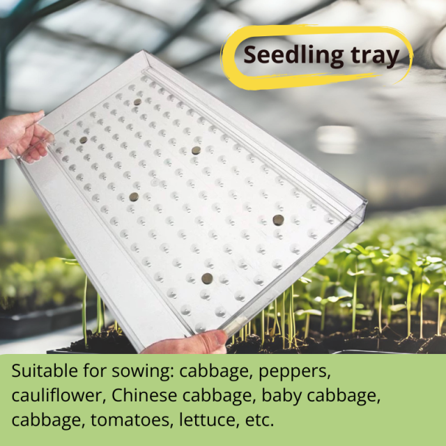 High Precision Manual Seeder Acrylic Seed Dispenser for Efficient Nursery Use