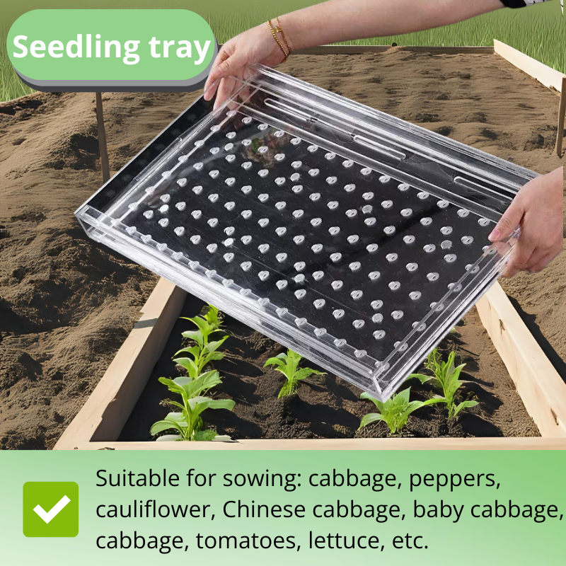 Universal Seed Seeder Tool – Multi-Hole Sowing Plate for Tiny Vegetable and Herb Seeds