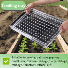 High Precision Manual Seeder Acrylic Seed Dispenser for Efficient Nursery Use