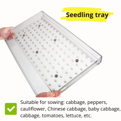 Universal Seed Seeder Tool – Multi-Hole Sowing Plate for Tiny Vegetable and Herb Seeds