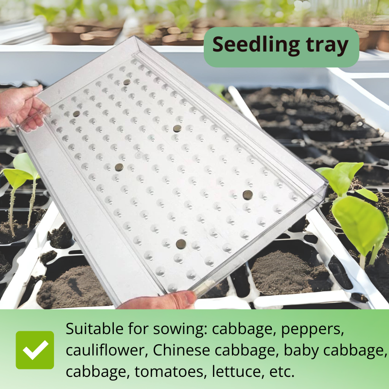 Universal Seed Seeder Tool – Multi-Hole Sowing Plate for Tiny Vegetable and Herb Seeds