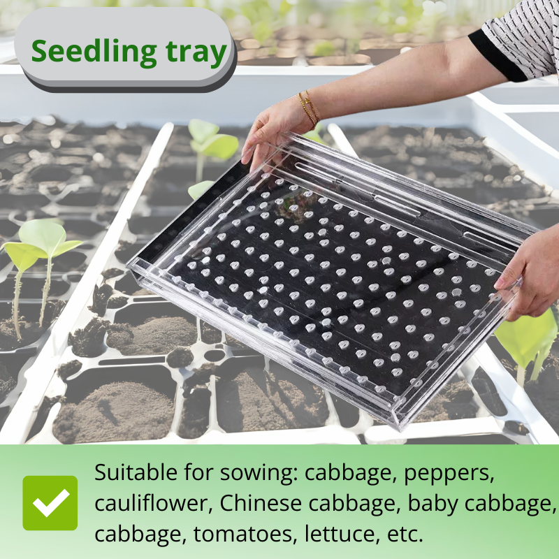 Universal Seed Seeder Tool – Multi-Hole Sowing Plate for Tiny Vegetable and Herb Seeds
