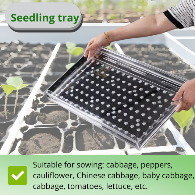 Universal Seed Seeder Tool – Multi-Hole Sowing Plate for Tiny Vegetable and Herb Seeds