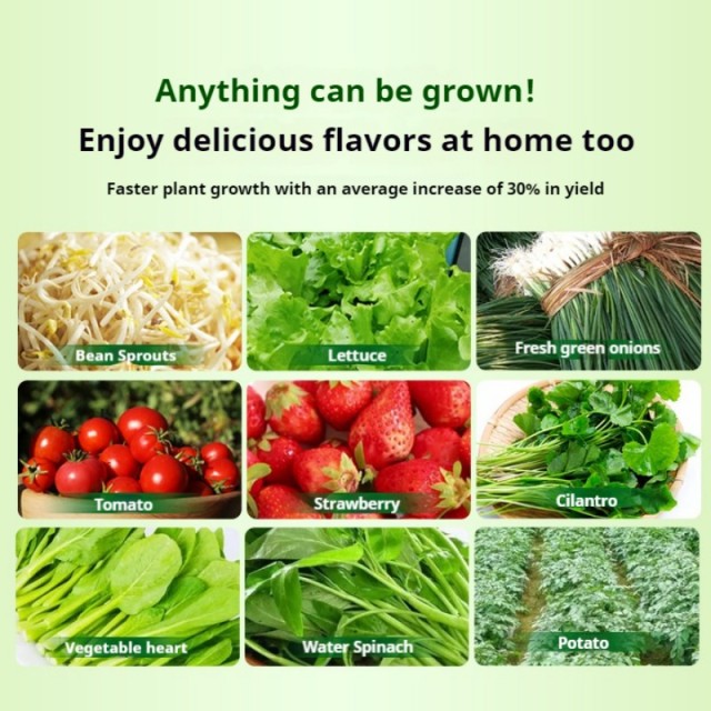 5/7/9 Layer Indoor Vertical Hydroponic Tower System – Soilless Growing Solution for Lettuce, Herbs, and Leafy Greens