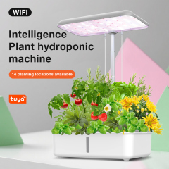 Tuya WiFi Smart Hydroponic Growing System with LED Grow Light, Automatic Pump Indoor Herb Garden Planter Kit for Home Gardening