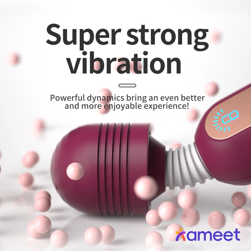 Euro AV vibrator