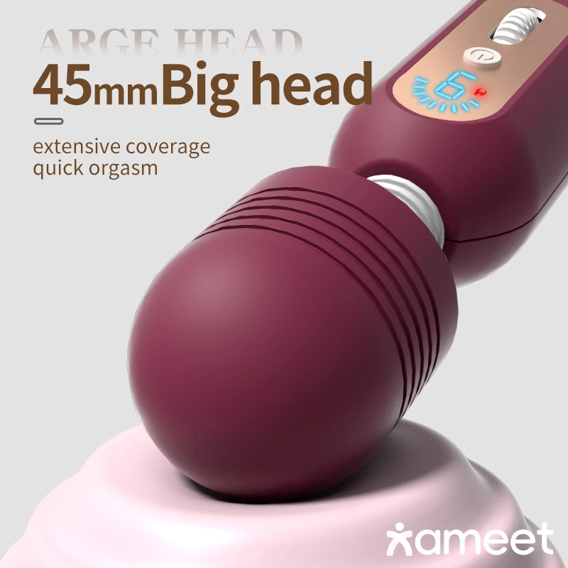 Euro AV vibrator