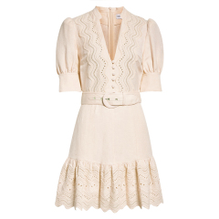 Embroidered V-neck Mini Dress