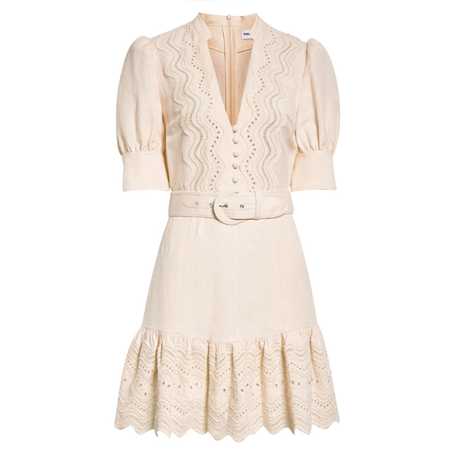 Embroidered V-neck Mini Dress