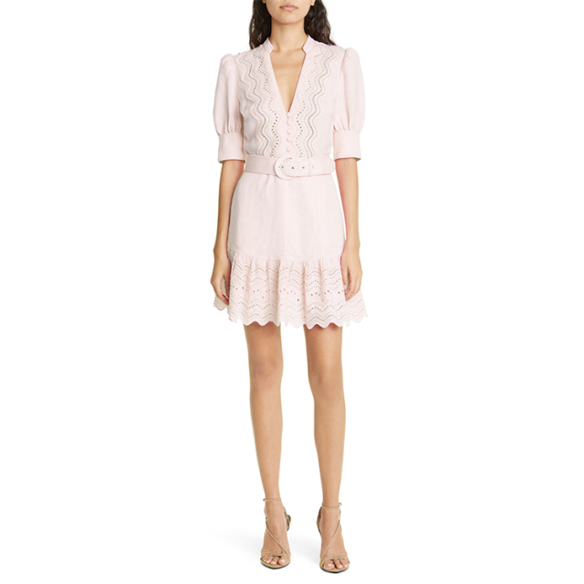 Embroidered V-neck Mini Dress