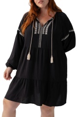 Embroidered Dress
