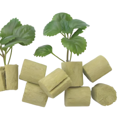 Rock wool grow cubes with young seedlings – professional transplanting substrate for uniform germination and root development by Liluan Technology