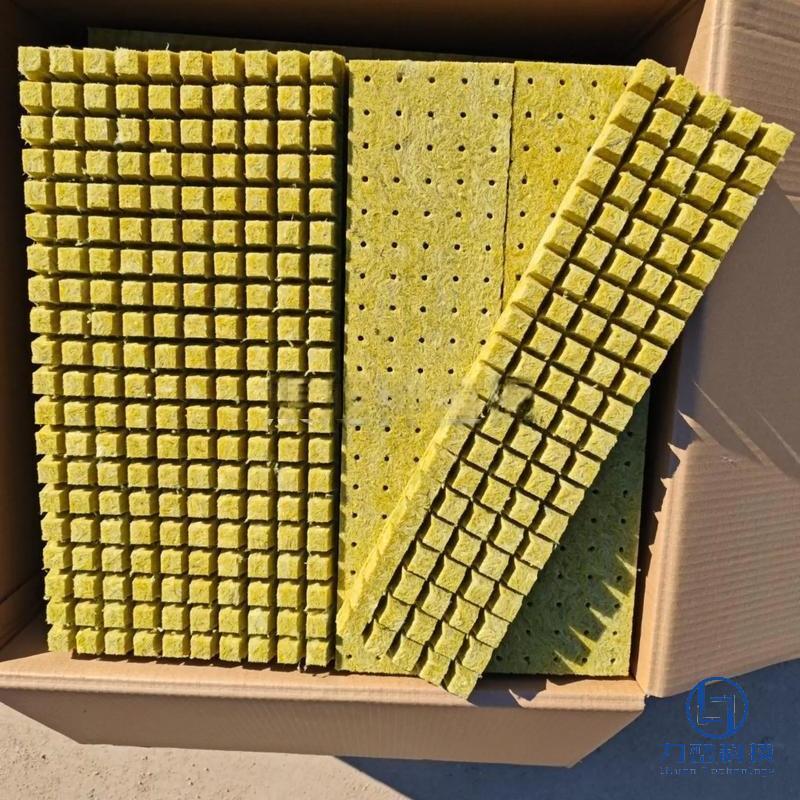 Rock wool seedling plugs and cubes neatly stacked in cardboard box - superior air & water balance growing medium for professional propagation by Liluan Technology