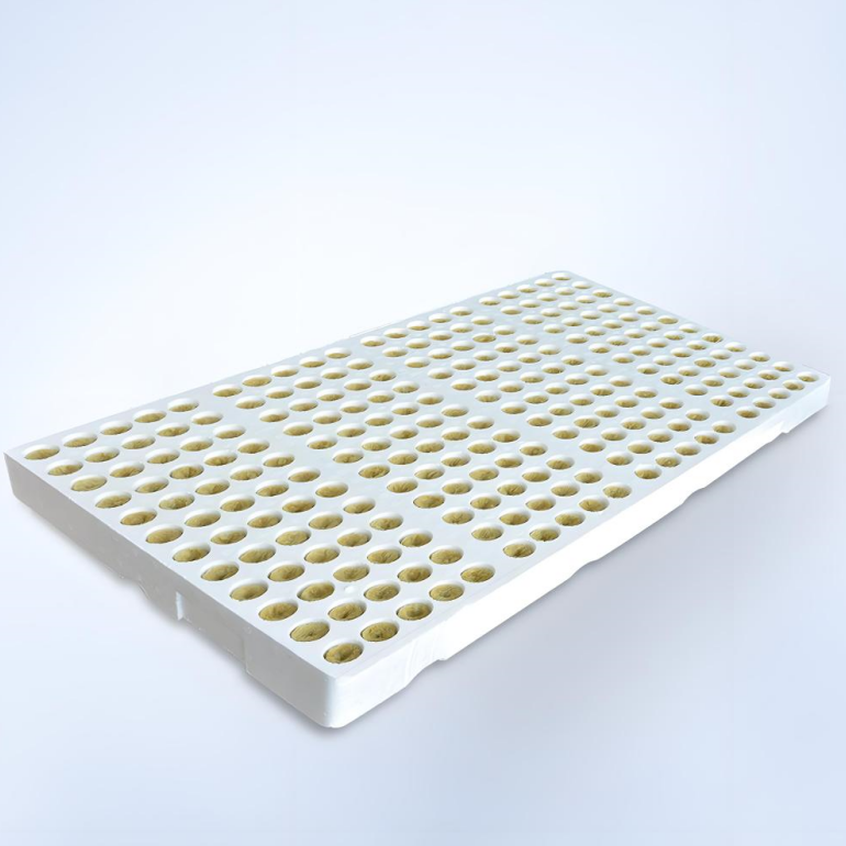 Rock wool seedling plugs inserted into white plastic propagation tray - superior air & water balance for uniform seed germination by Liluan Technology