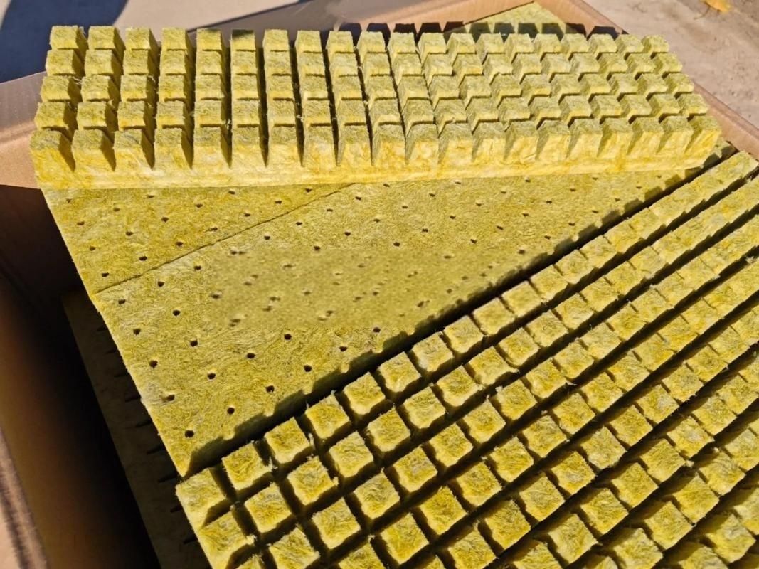 Rock wool seedling plugs and cubes neatly stacked in cardboard box - superior air & water balance growing medium for professional propagation by Liluan Technology