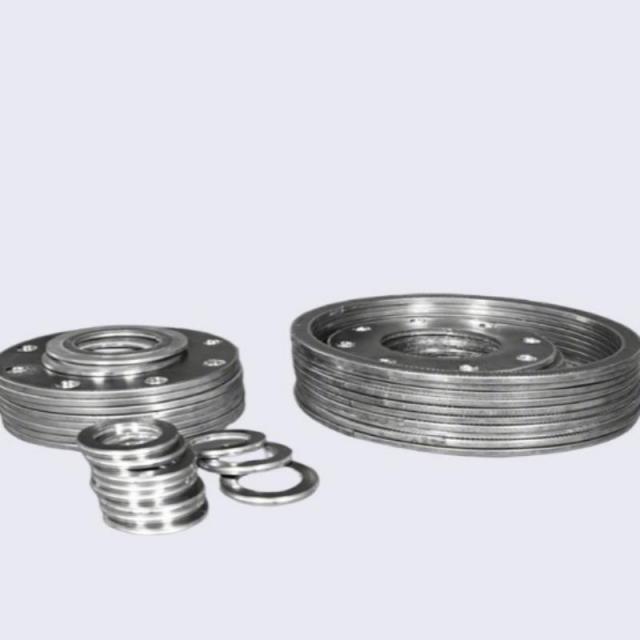 A studio product photograph against a clean white background, showcasing a varied assortment of Liluan high-strength multi-layer graphite gaskets. In the foreground are small circular rings and medium-sized gaskets with multiple bolt holes. In the background are larger circular gaskets with inner reinforcement rings and bolt holes, demonstrating suitability for various custom and standard industrial flange sizes.---LiLuan Technology