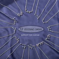 2021 new style 925 silver necklace 12 zodiac sign womens necklace jewelry