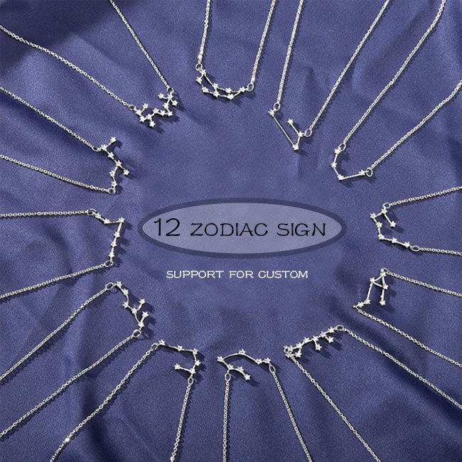 2021 new style 925 silver necklace 12 zodiac sign womens necklace jewelry