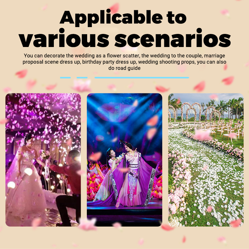 CH 100W Electric Confetti Machine For Sale,Jet Confetti Cannon Machine For Wedding Stage