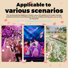 CH 100W Electric Confetti Machine For Sale,Jet Confetti Cannon Machine For Wedding Stage
