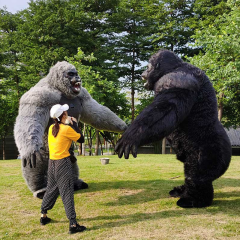 CH Chimpanzee Theme Custom Made Adult Mascot Costumes For Adults,Hot Sale Mascot Costume Cartoon Character