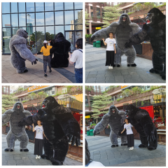 CH Chimpanzee Theme Custom Made Adult Mascot Costumes For Adults,Hot Sale Mascot Costume Cartoon Character