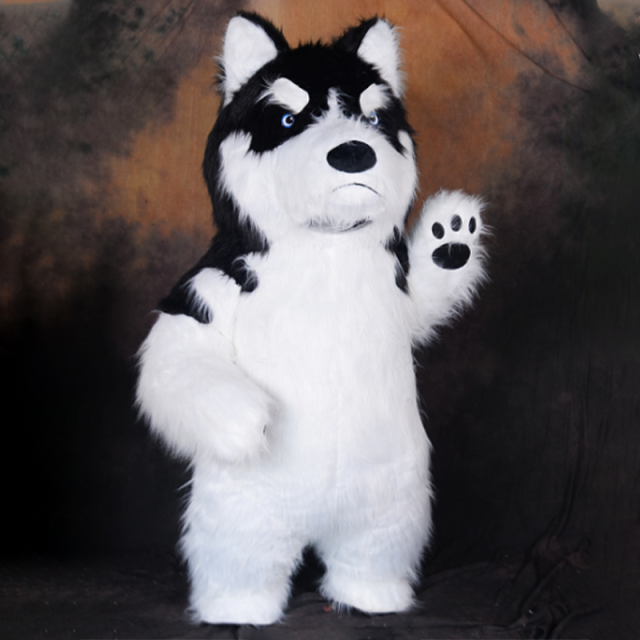 CH Siberian Husky Mascot Costume Cartoon Character For Event,Commercial Cosplay Mascot Cloth Plush For Sale
