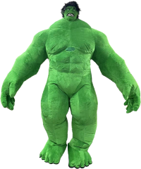 CH The Hulk Mascotte Costume Cartoon Mascot For Sale,Commercial Adult Cartoon Costume Bear For Adults