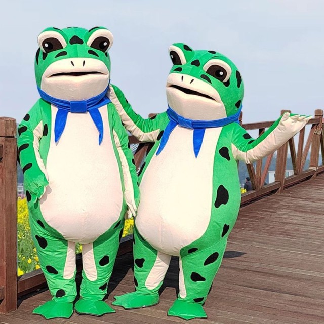 CH Frog Mascot Costume Custom Adults For Sale,Inflatable Halloween Costumes For Adults