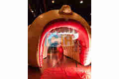 Inflatable Custom Tent