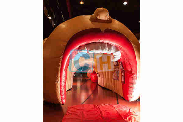 Inflatable Custom Tent