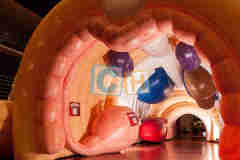 Inflatable Custom Tent