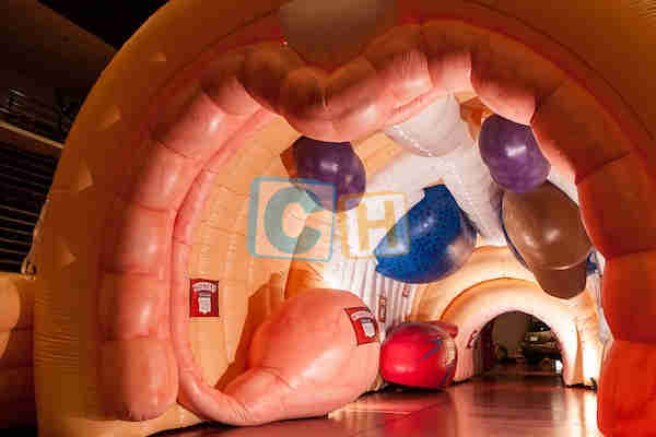 Inflatable Custom Tent