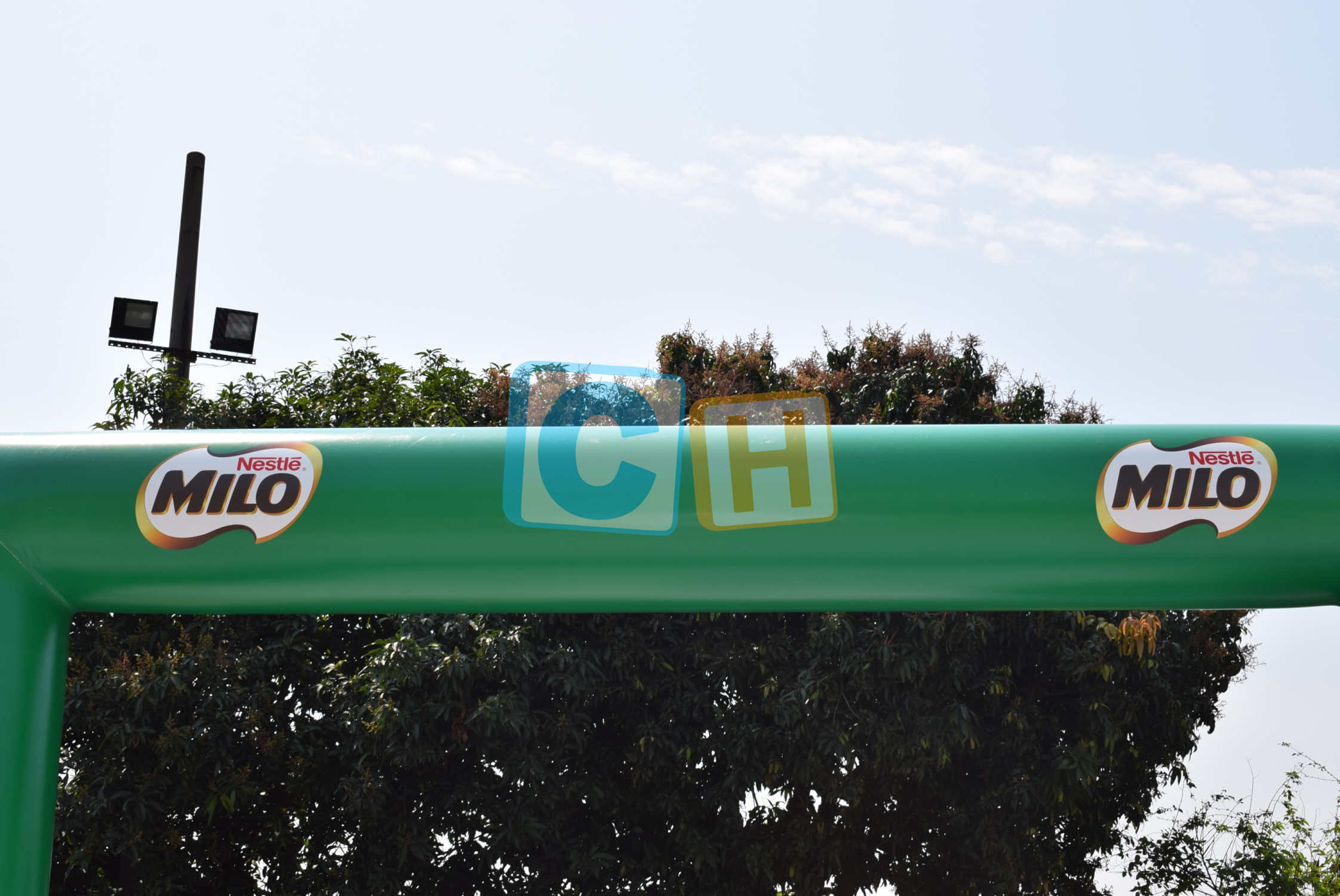 Inflatable Brand  Custom Arch