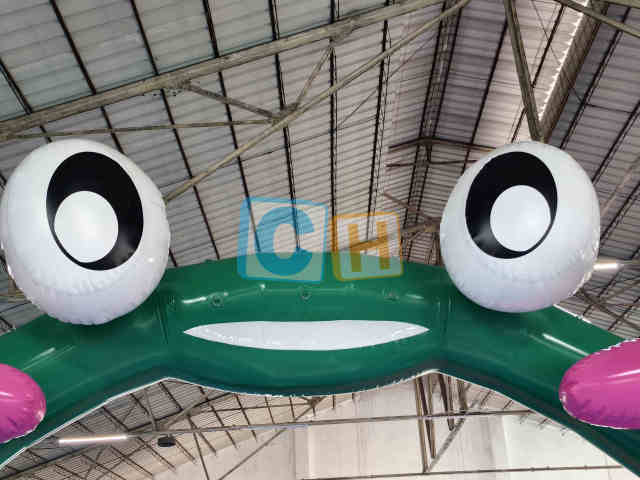 Inflatable Frog Arch