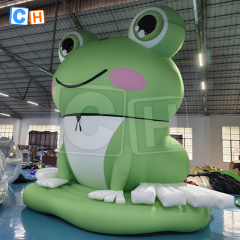 Giant 5m Inflatable Frog Animal Cartoon for Decoration