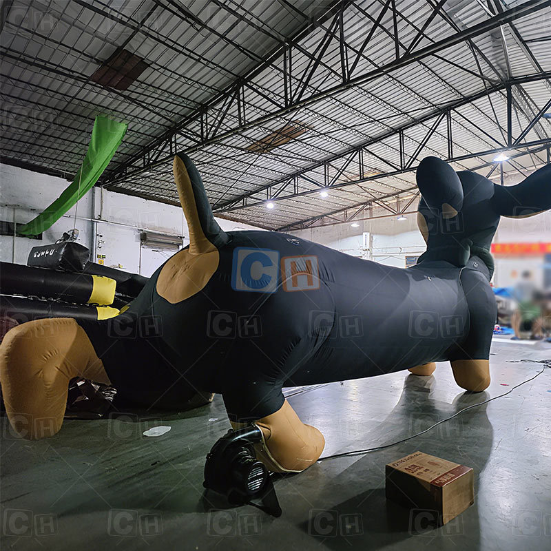 Customized Lighted Inflatable Dog Decoration for Store