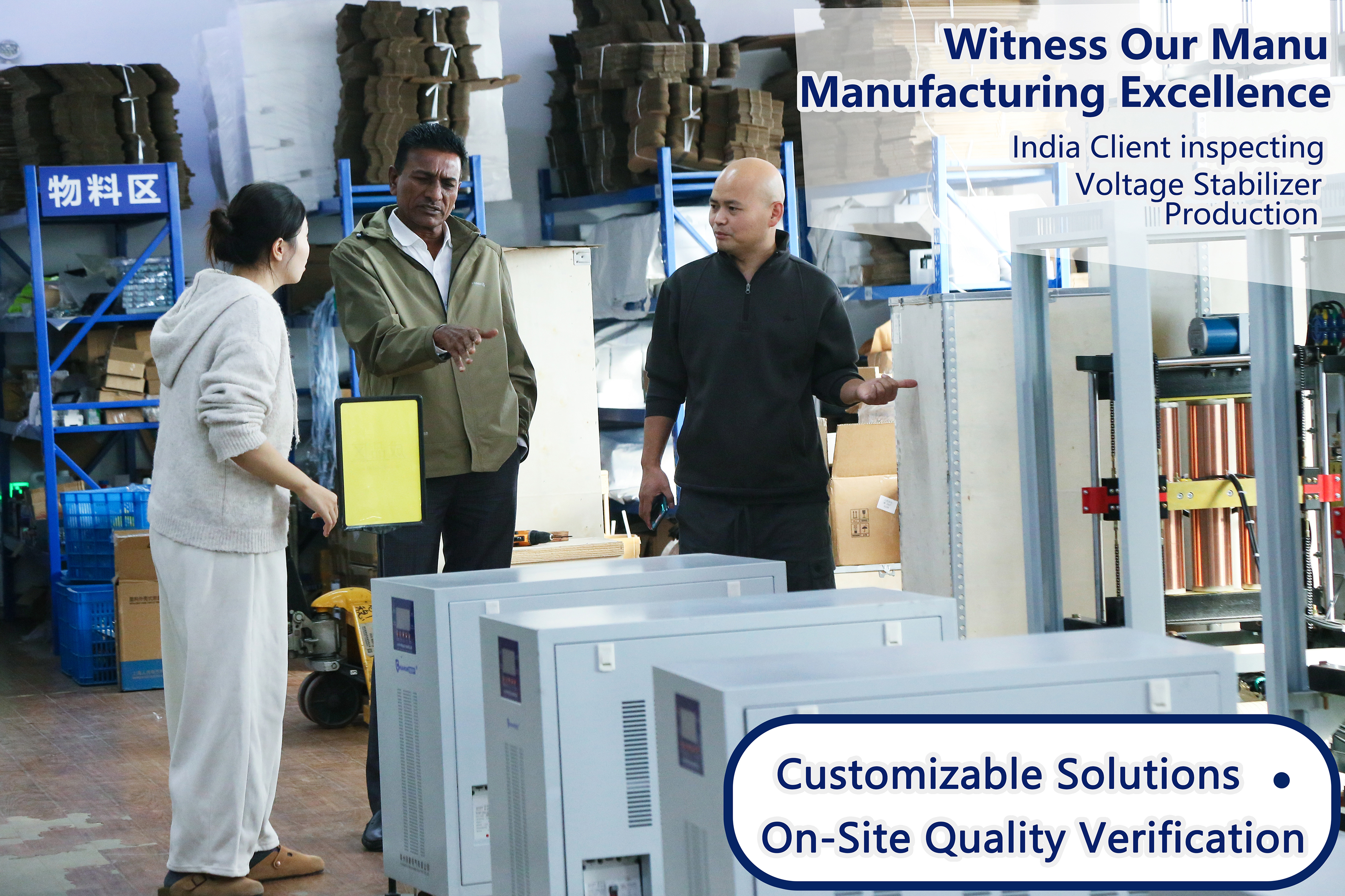 Voltage Stabilizer for Export to India