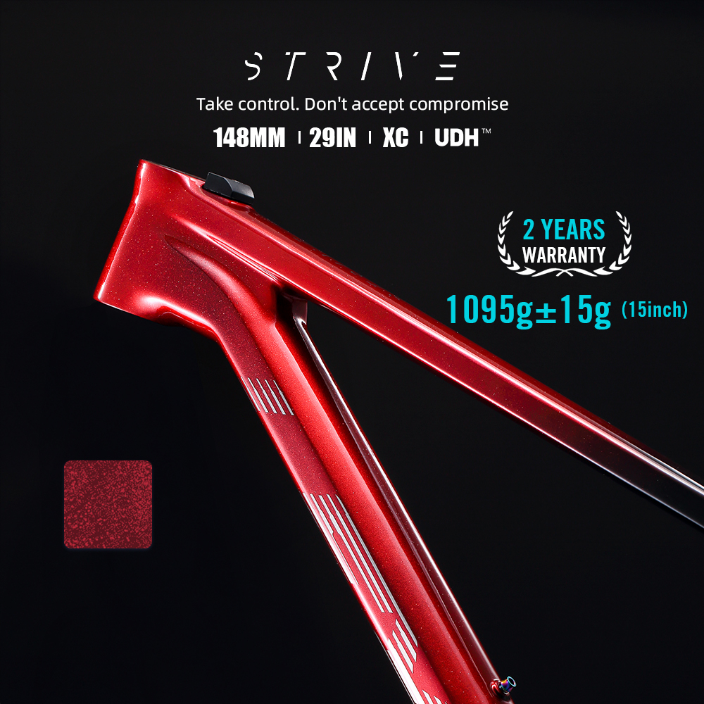 STRIVE