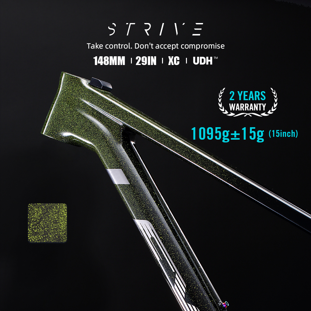 STRIVE