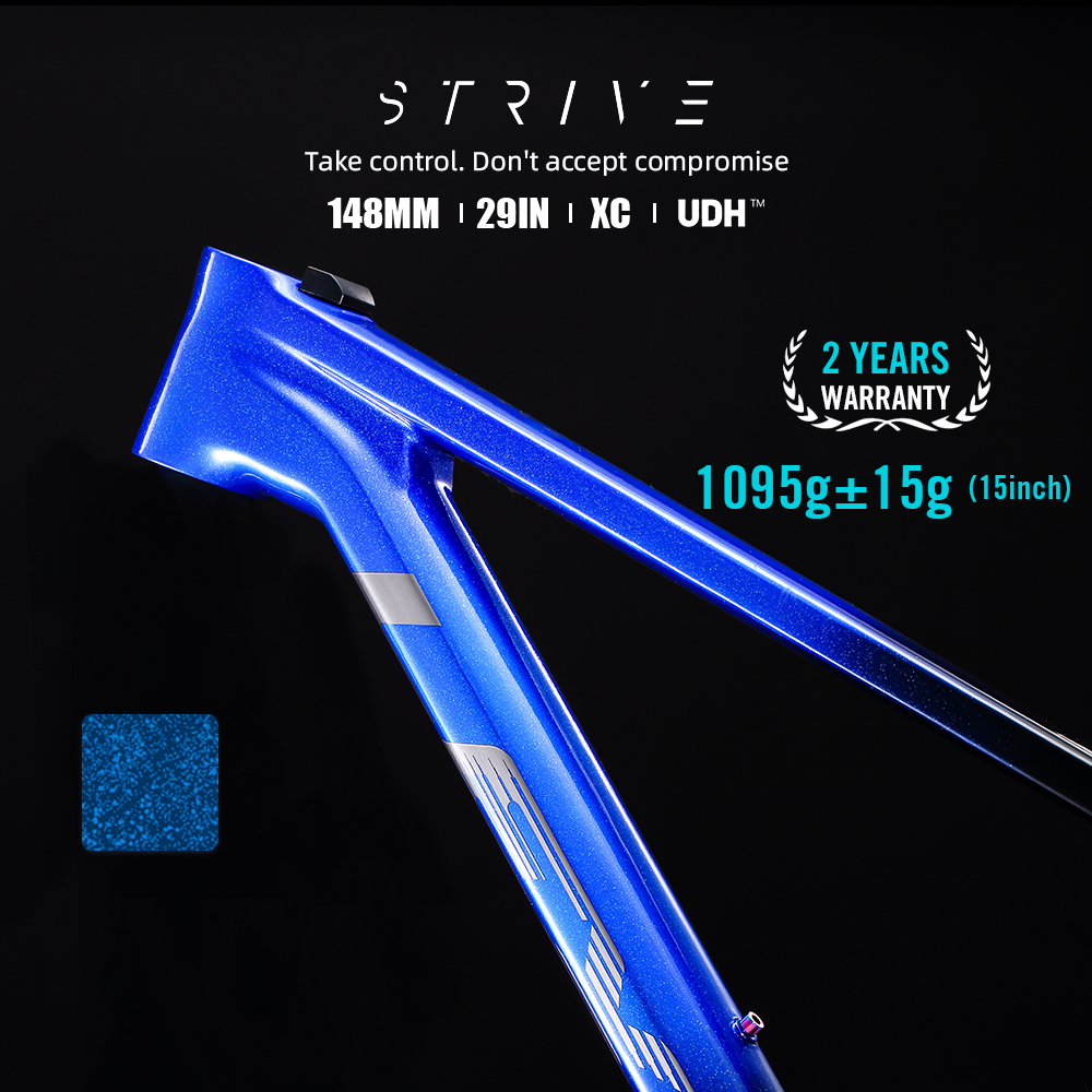 STRIVE