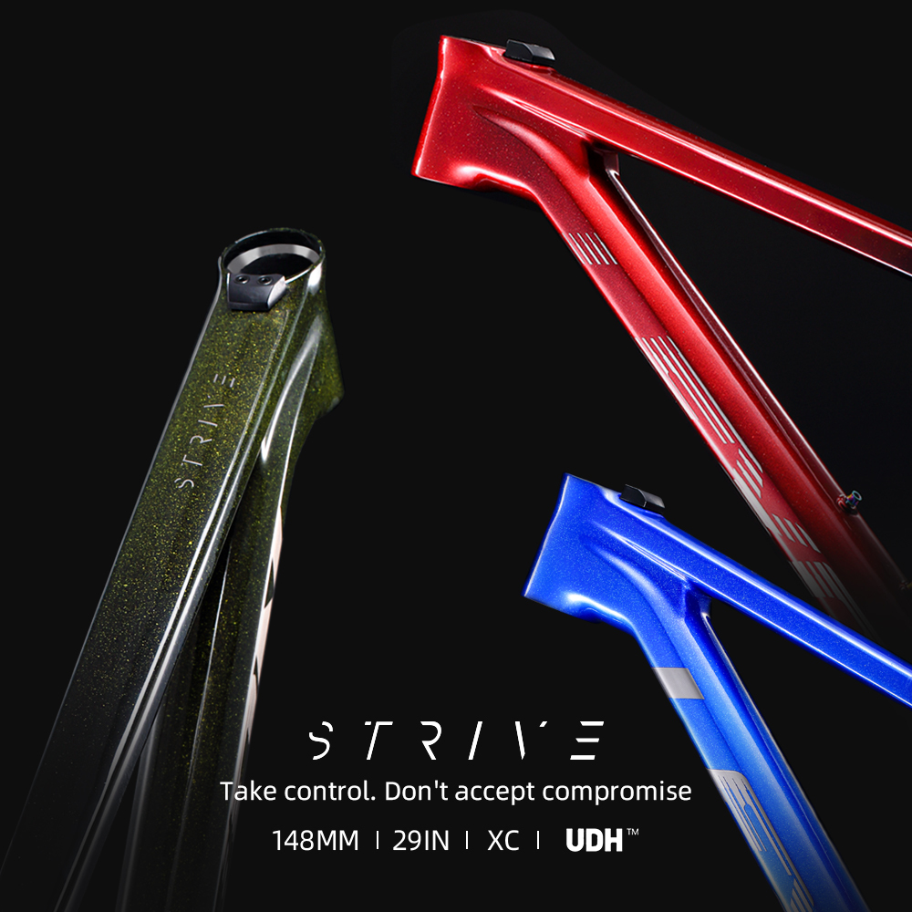 STRIVE