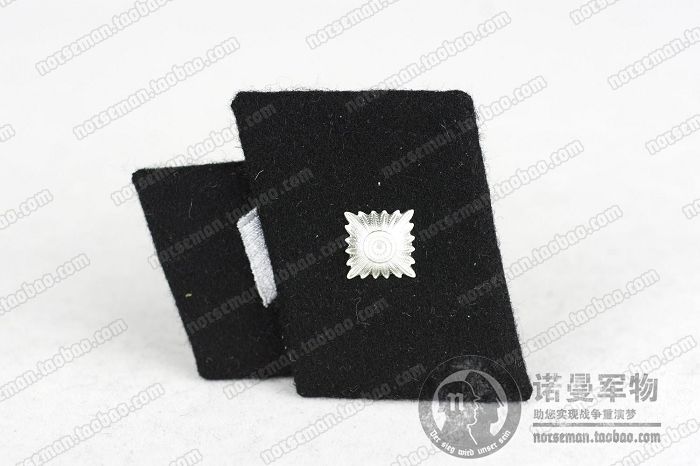 SS Collar Tabs