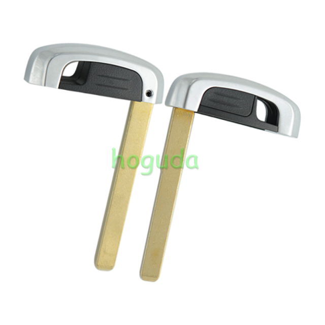 For Ford 2/2+1/3 button remote key shell with blade without logo